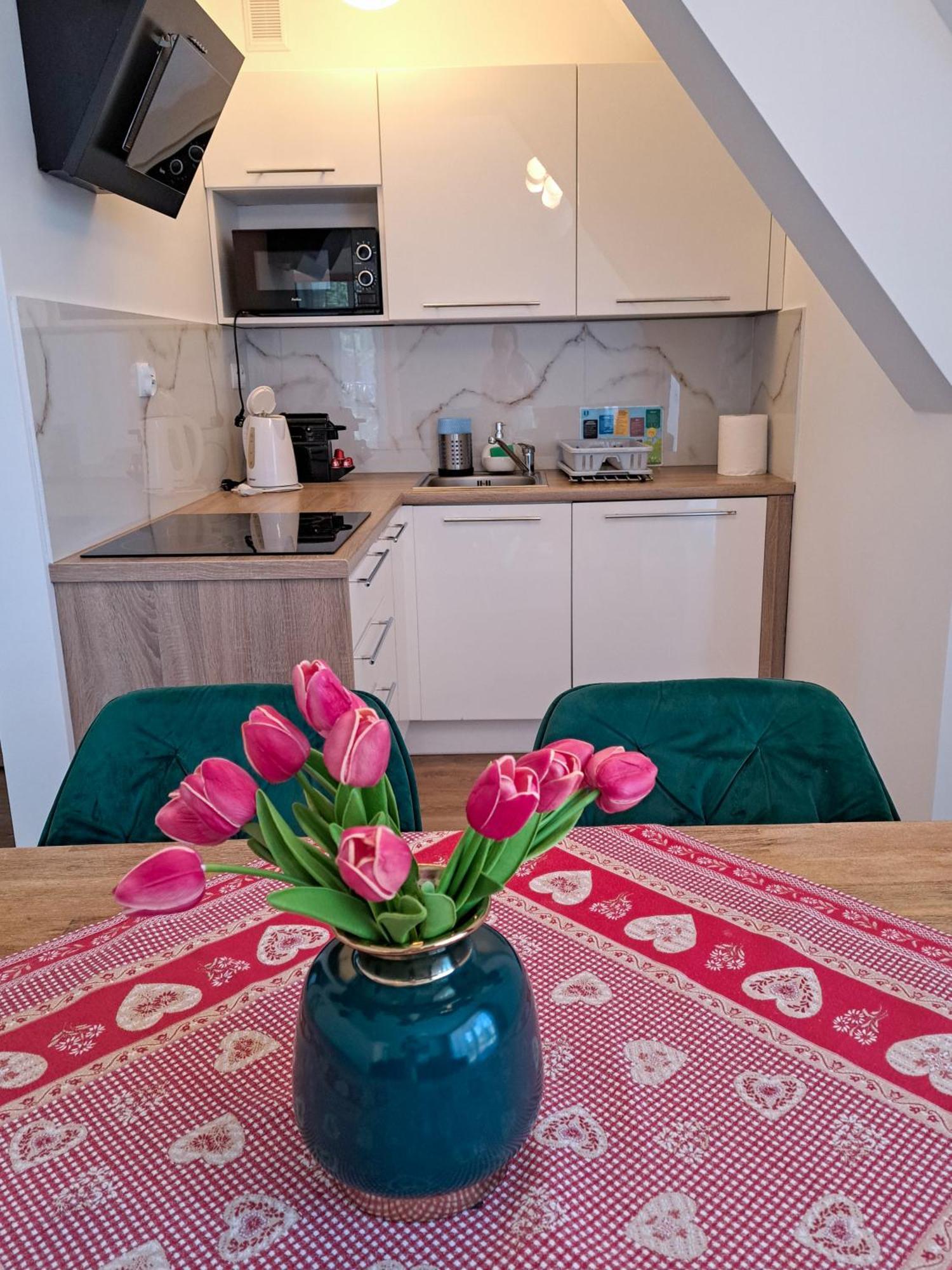 Bory6A Apartamenty & Free Parking Zakopane Exterior photo